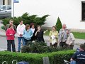 maibaum (57)